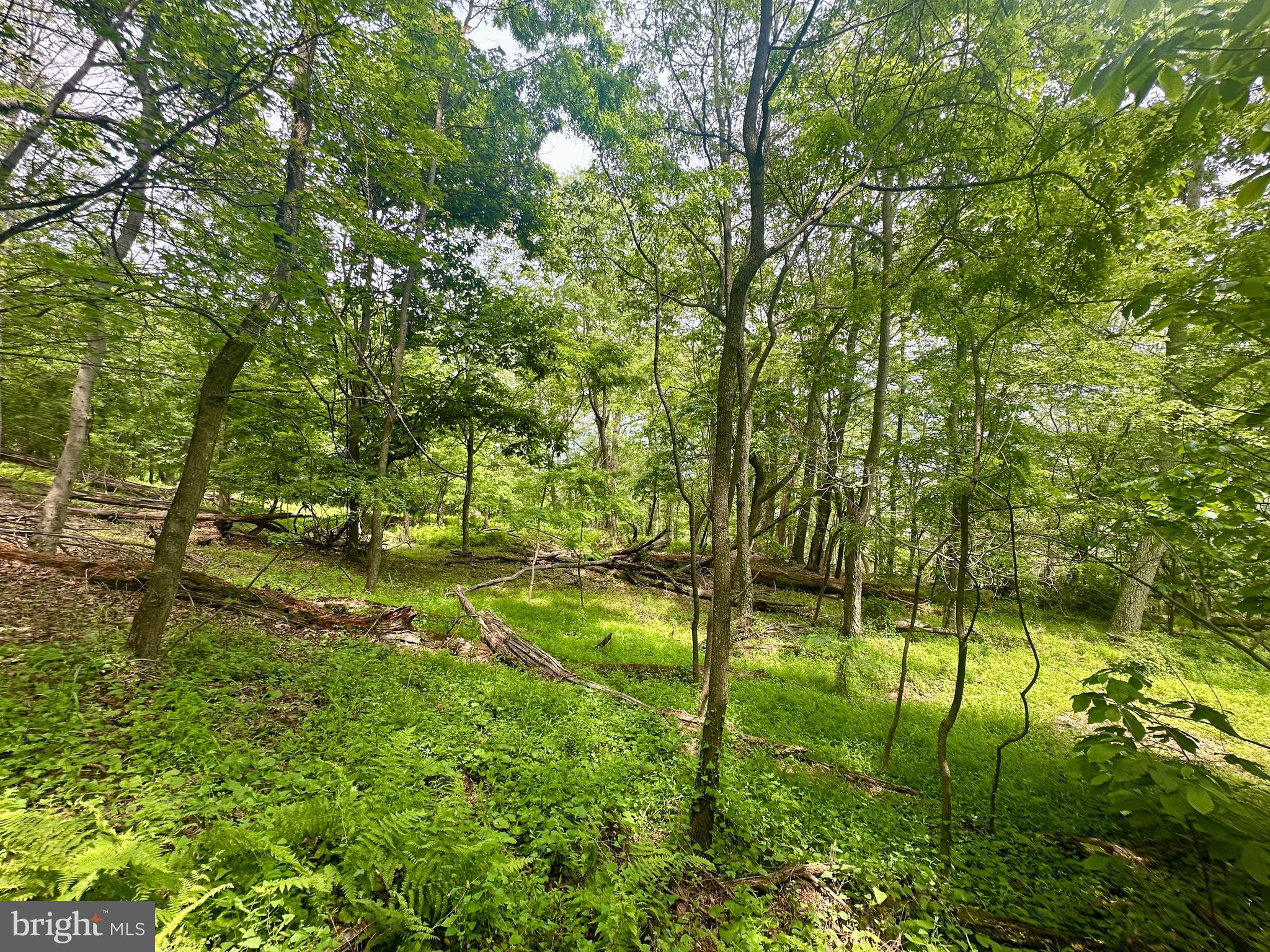 HIGH KNOB/OLD FIELDS OWNERS ASSOC. - Land