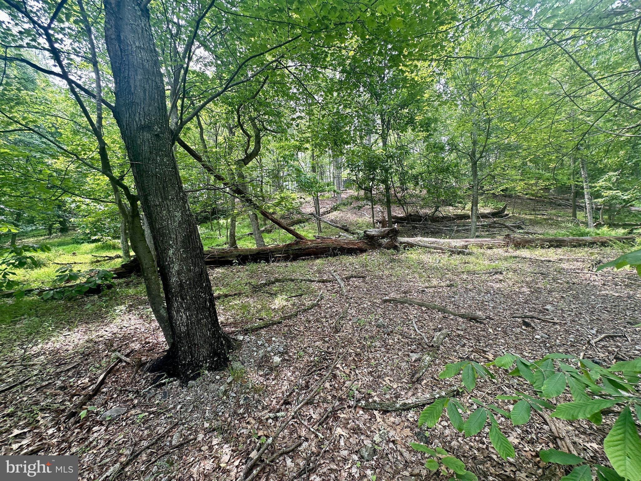 HIGH KNOB/OLD FIELDS OWNERS ASSOC. - Land