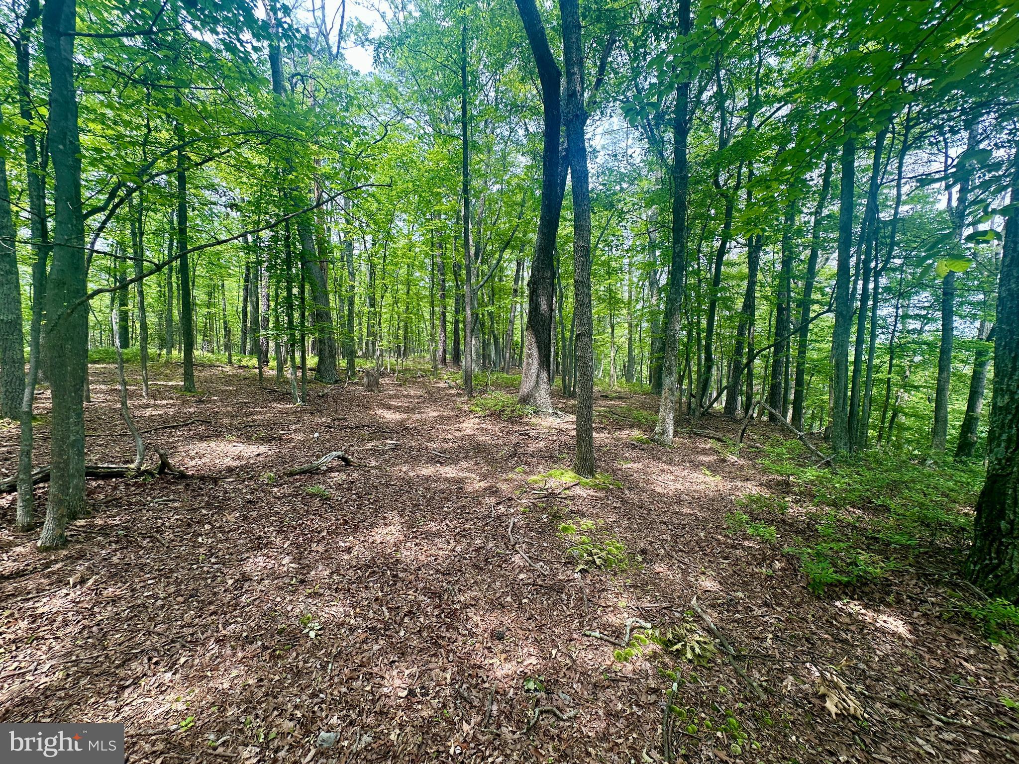 HIGH KNOB/OLD FIELDS OWNERS ASSOC. - Land