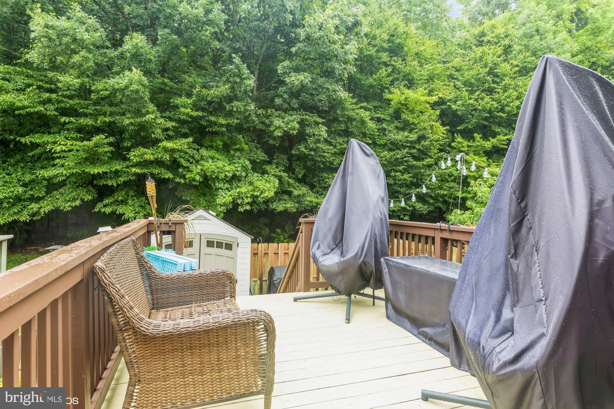 HOLLY WOODS - Residential