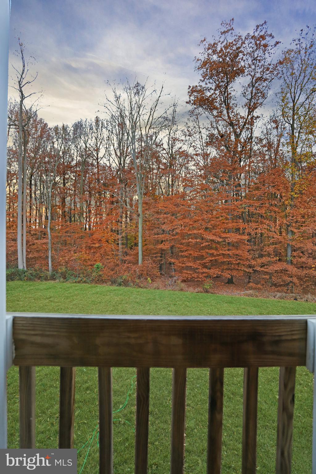 RIDGELY FOREST - Residential