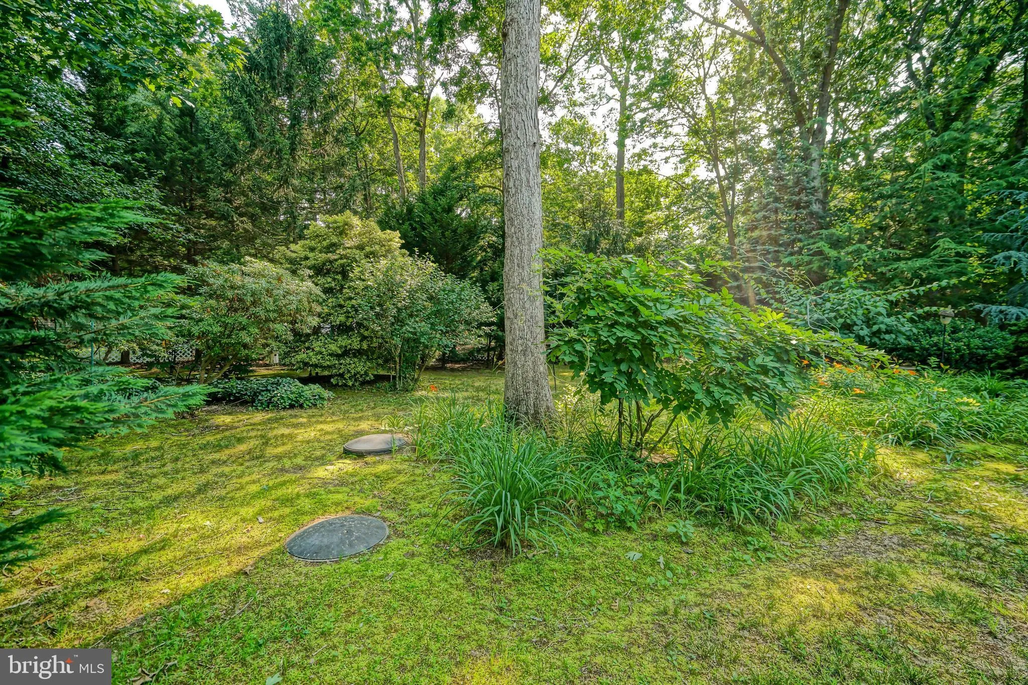 Lewes, Delaware 19958, United States, 3 Bedrooms Bedrooms, ,2 BathroomsBathrooms,Residential,Coming Soon,150162