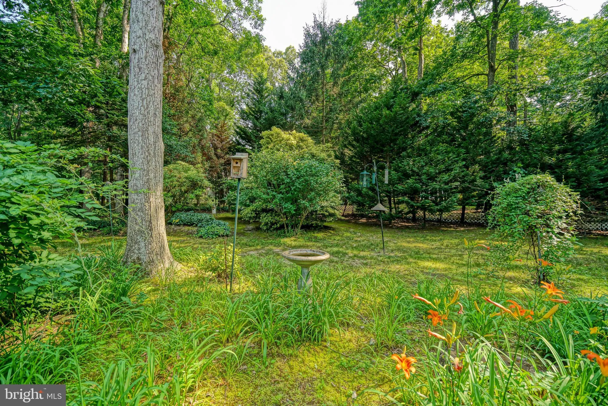 Lewes, Delaware 19958, United States, 3 Bedrooms Bedrooms, ,2 BathroomsBathrooms,Residential,Coming Soon,150162