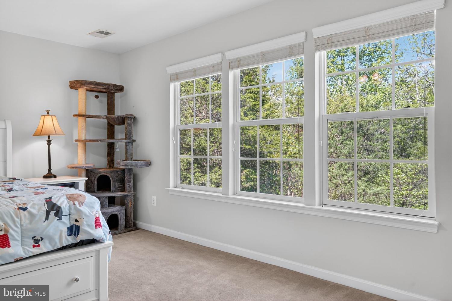 BRAEMAR - Residential