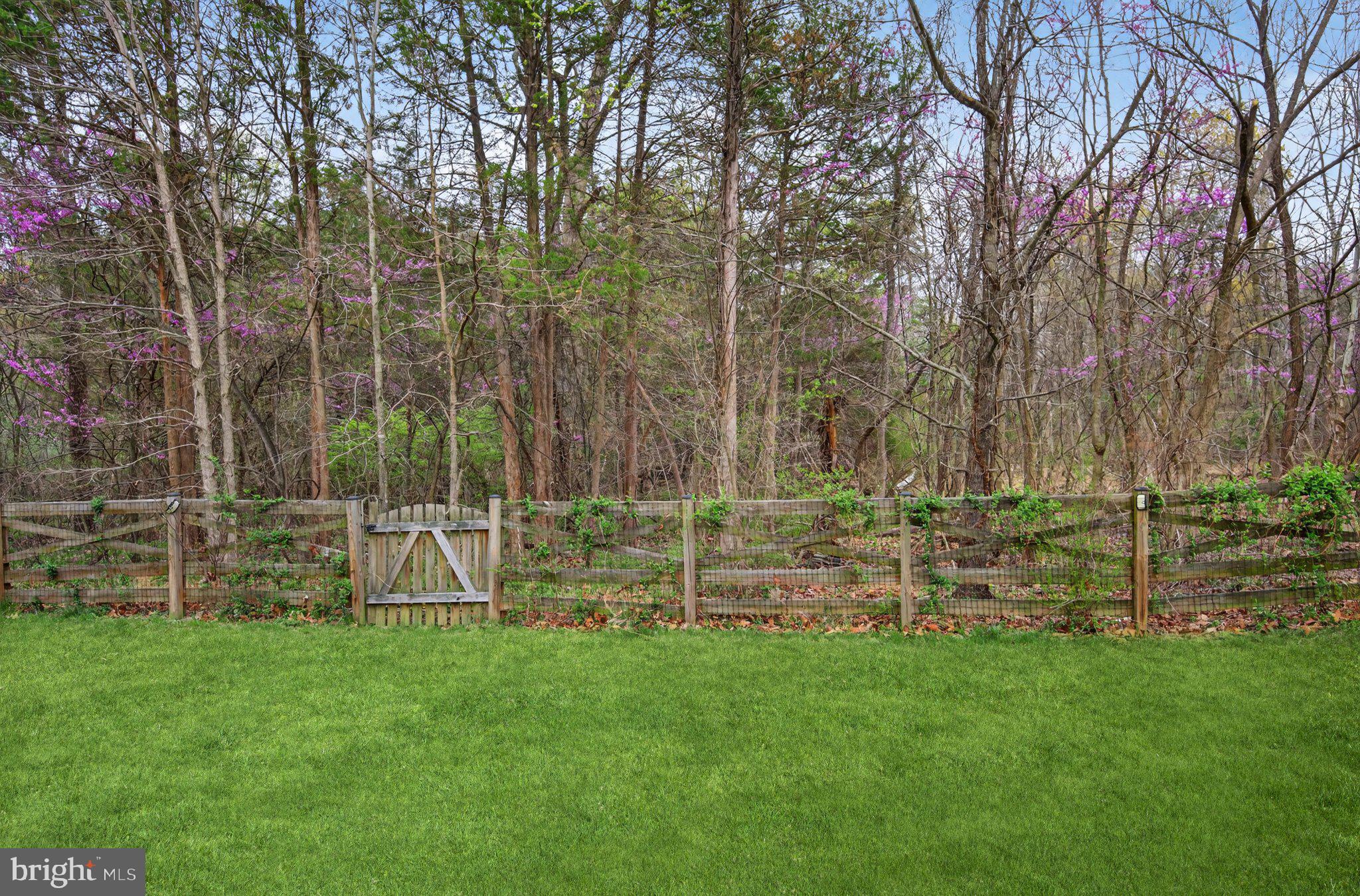 10029 BONNYKELLY COURT