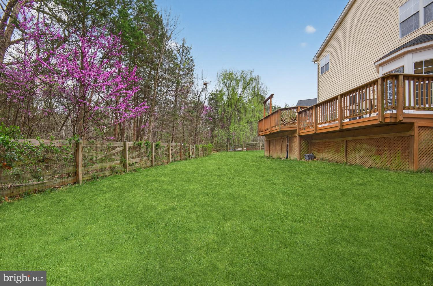 BRAEMAR - Residential