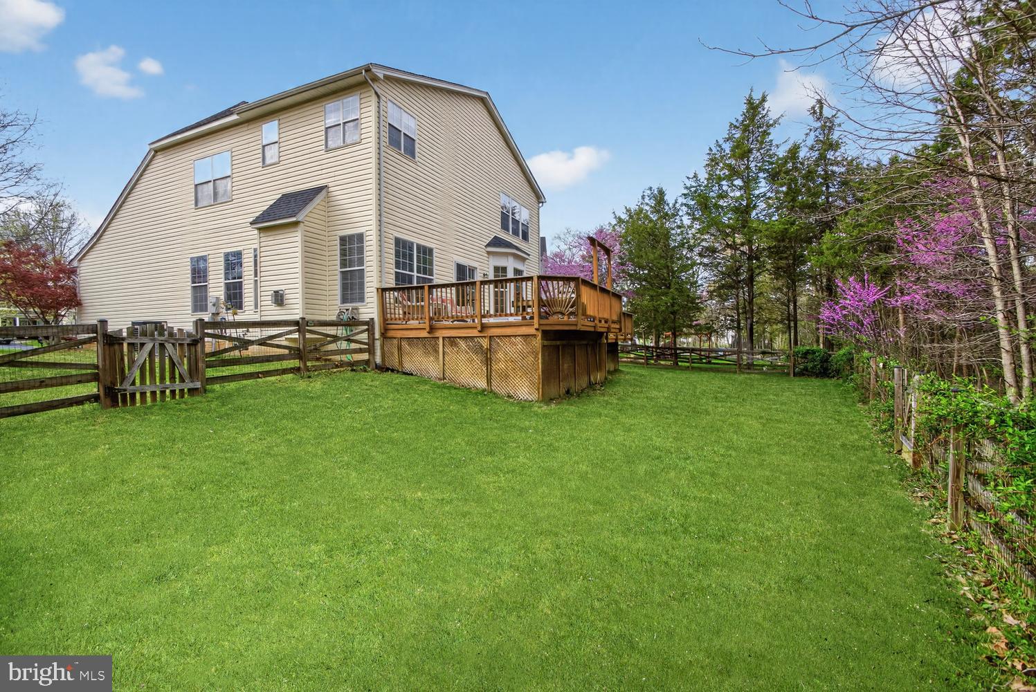 BRAEMAR - Residential