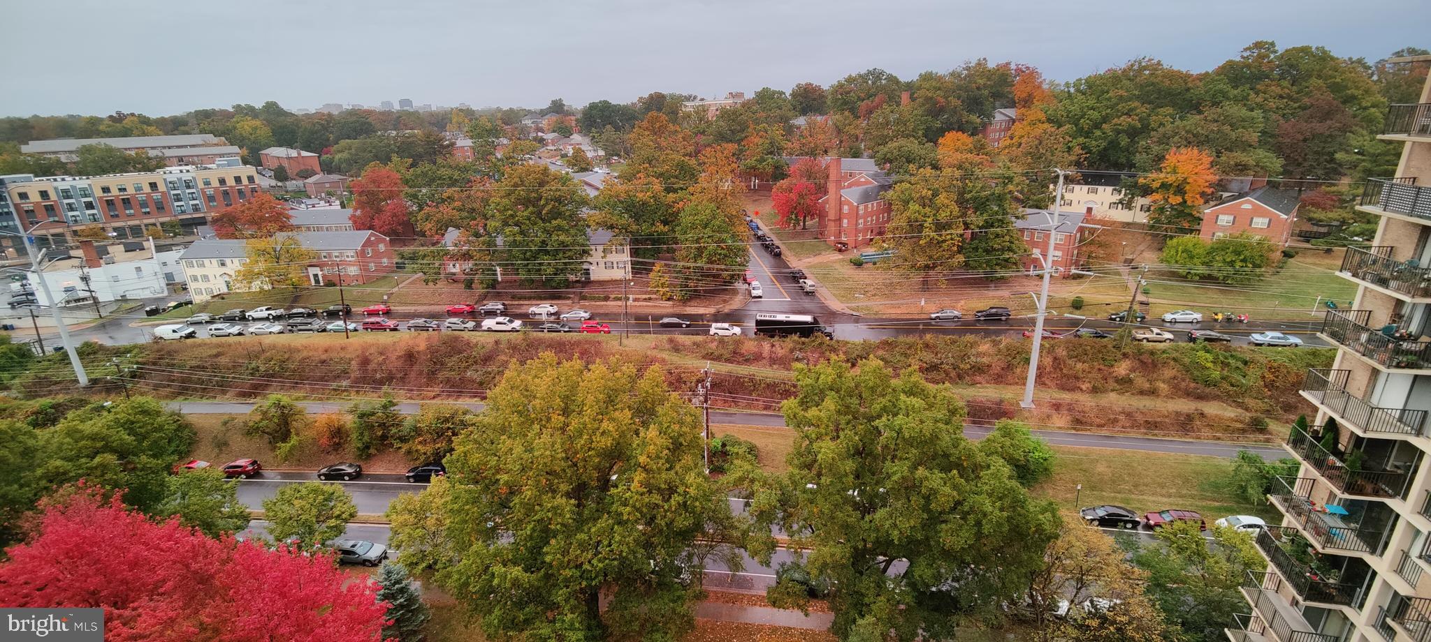 THE CARLTON - Residential Lease