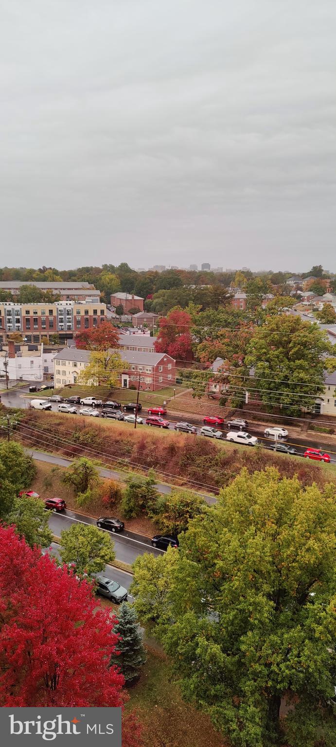 THE CARLTON - Residential Lease