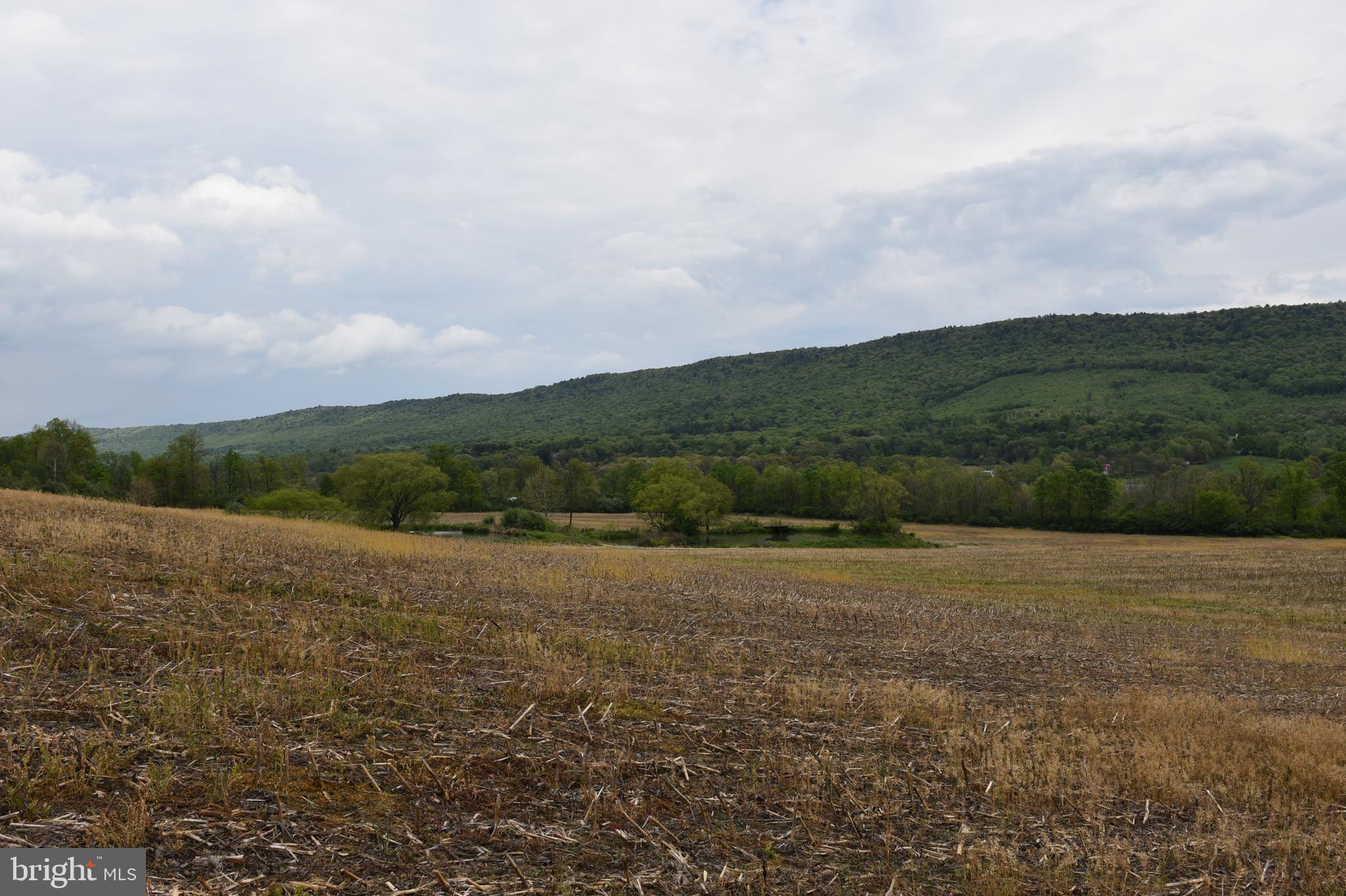 TODD TWP - Farm