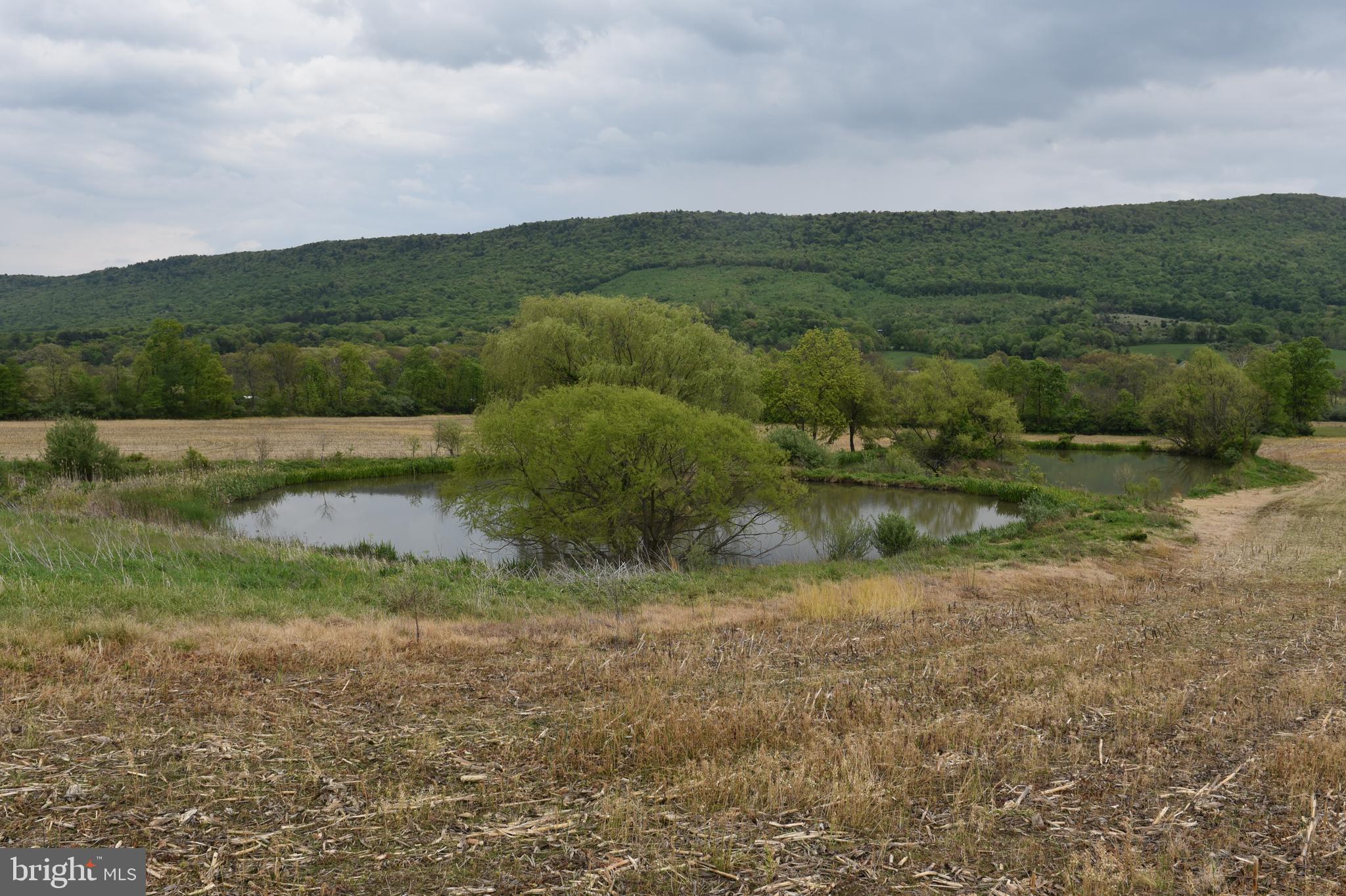 TODD TWP - Farm