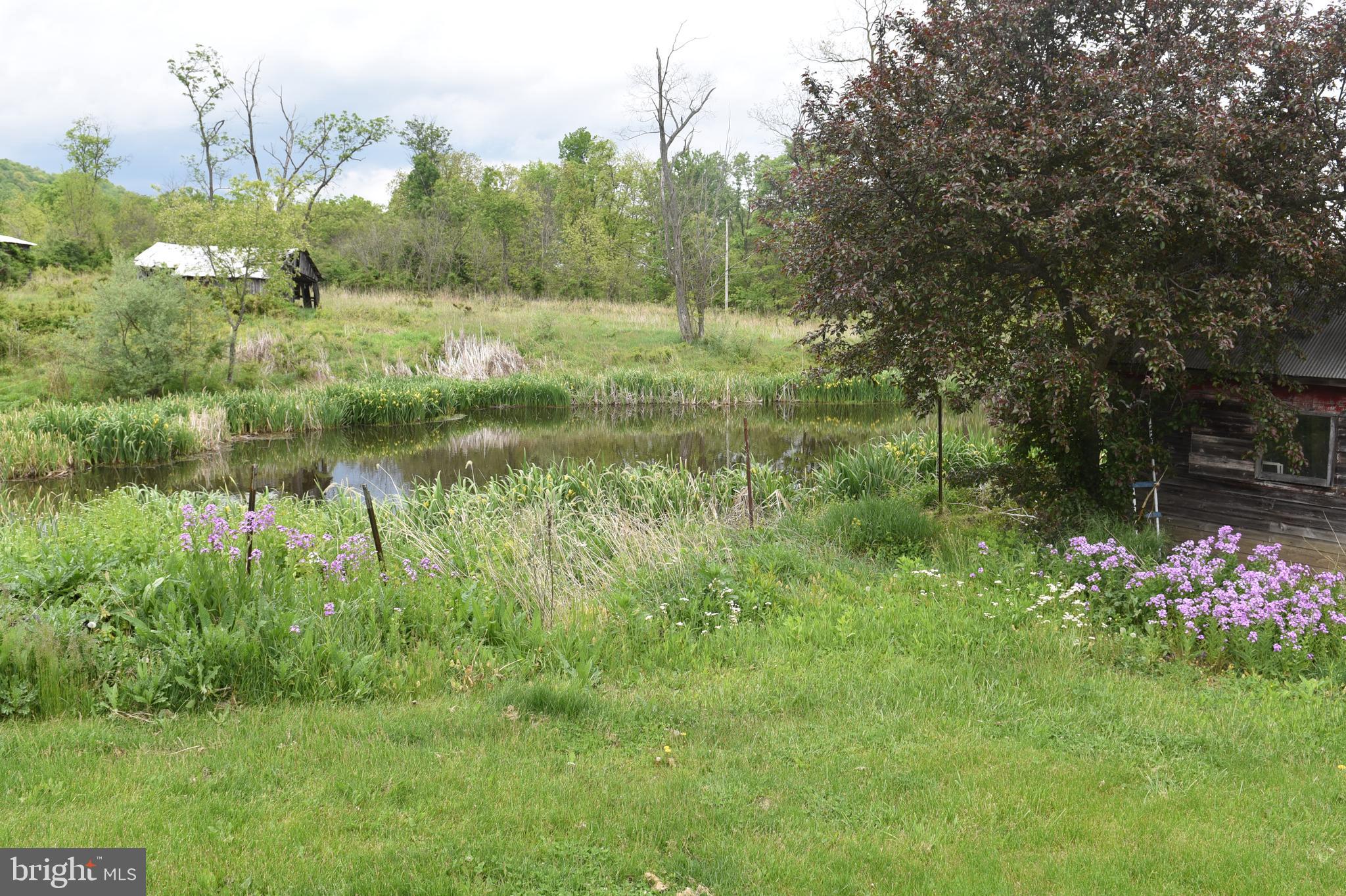TODD TWP - Farm
