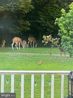 WOODS OF BAYVIEW - Residential