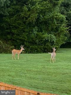 WOODS OF BAYVIEW - Residential