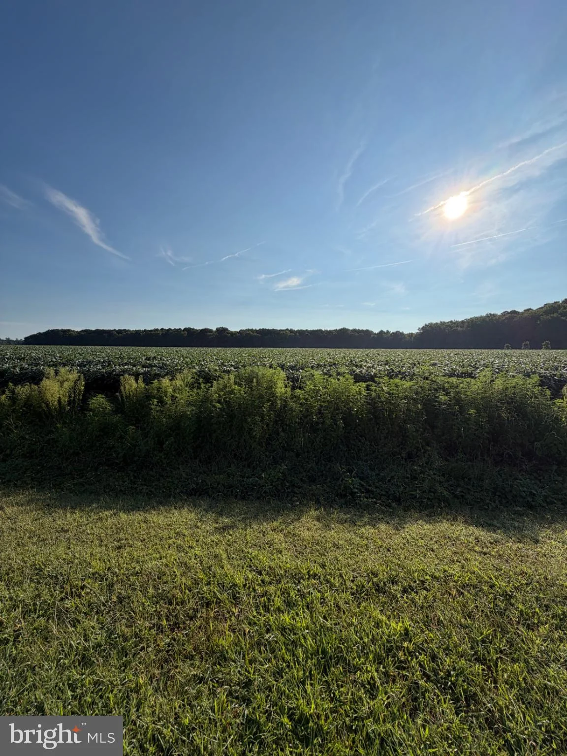 12543 Mallard Lane, Princess Anne, MD, 21853