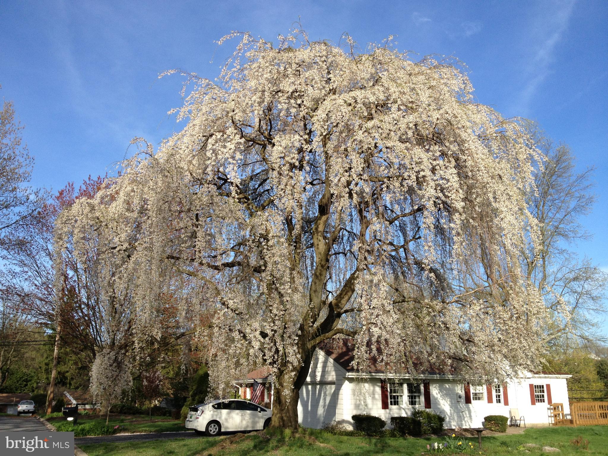GREENFIELDS - Residential
