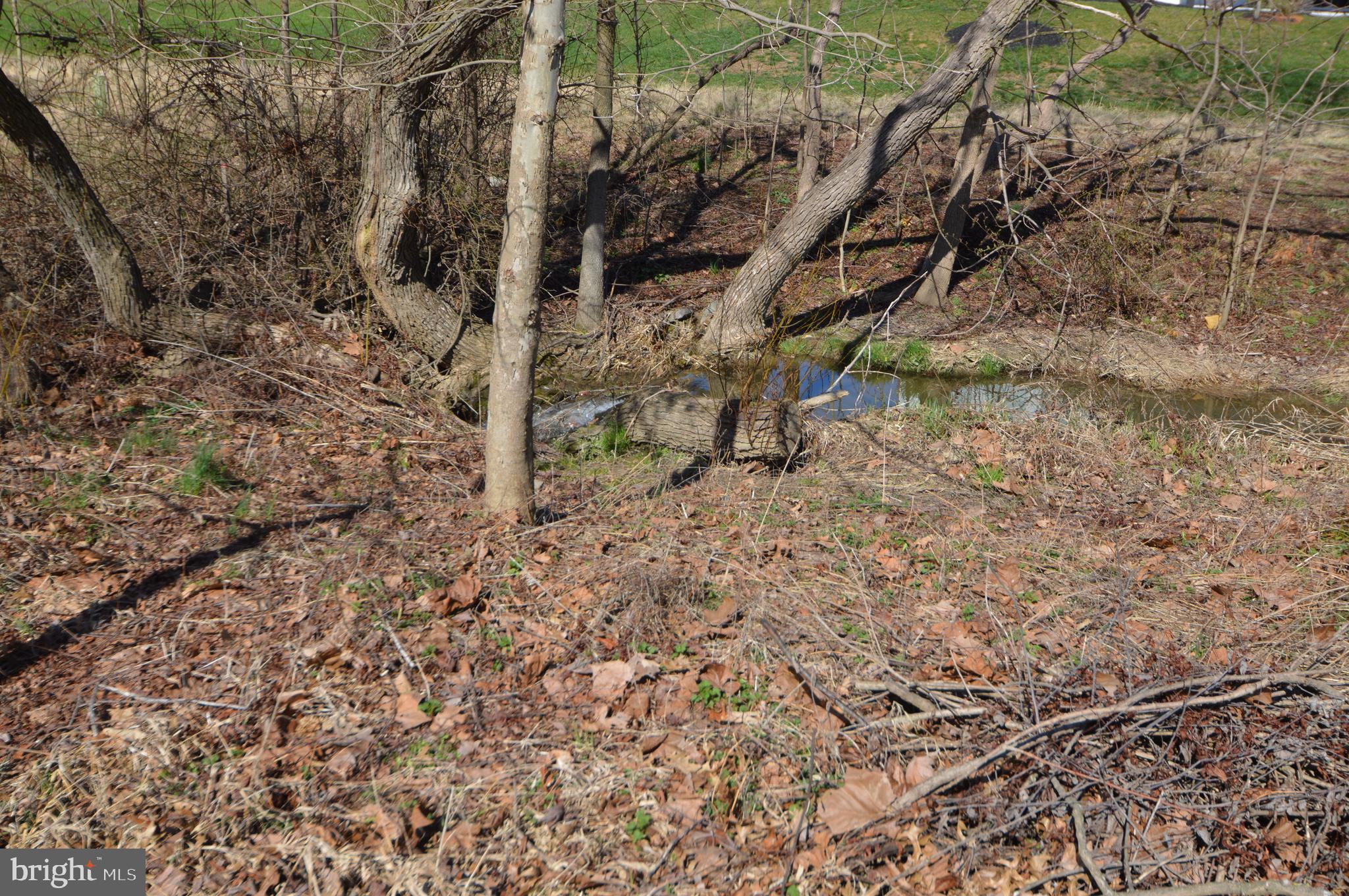 TRADITIONS OF AMERICA AT LITITZ - Residential