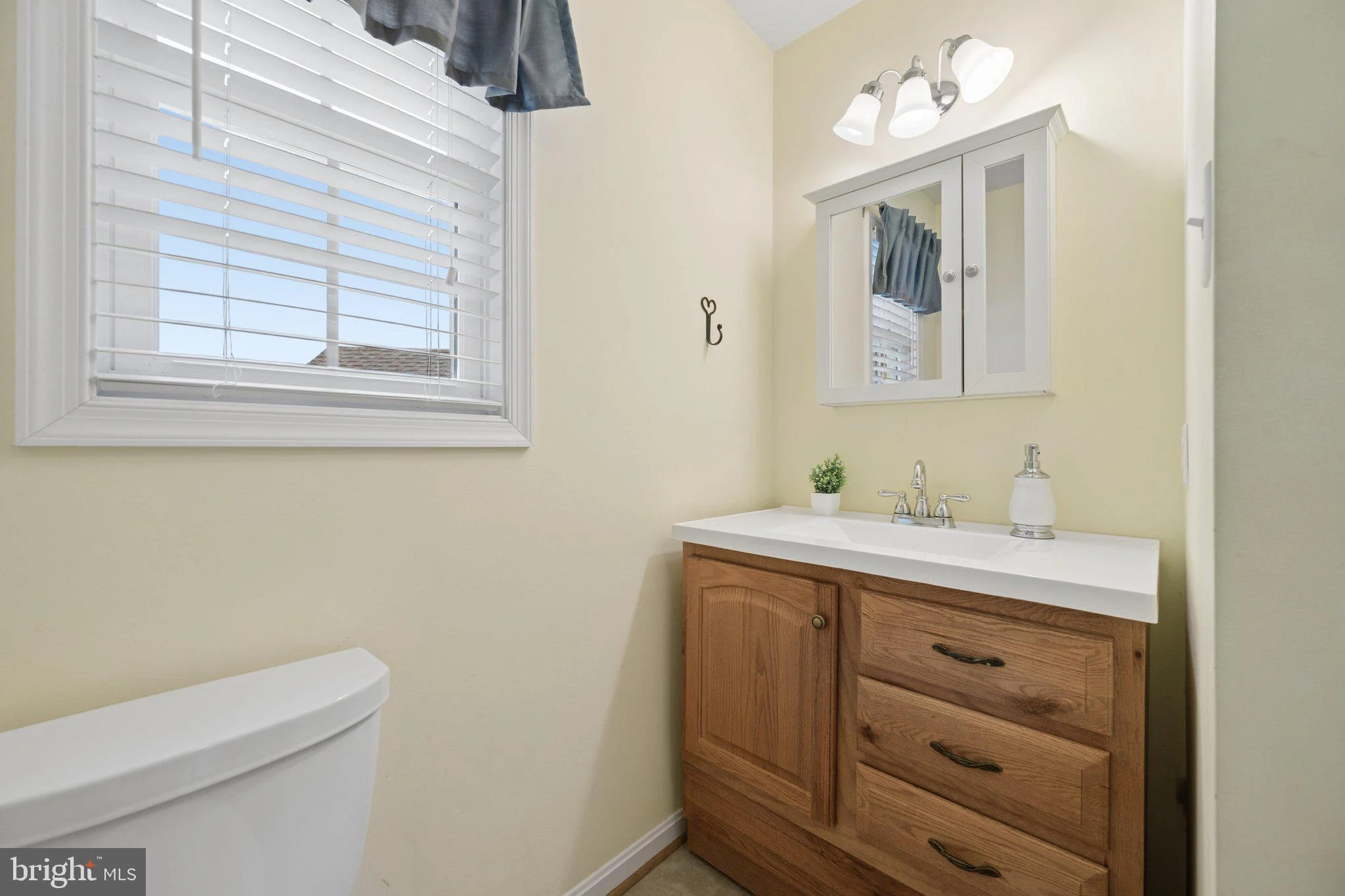 Additional image 101 of 232 Winter Brook Drive, Walkersville, MD 21793