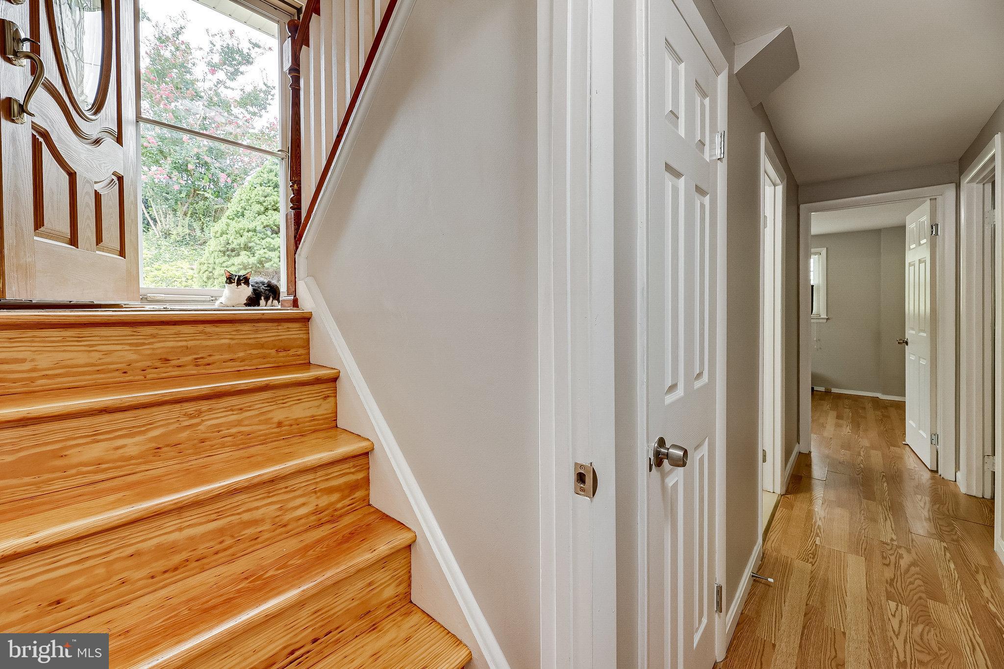 MAPLE GROVE ESTATES - Residential