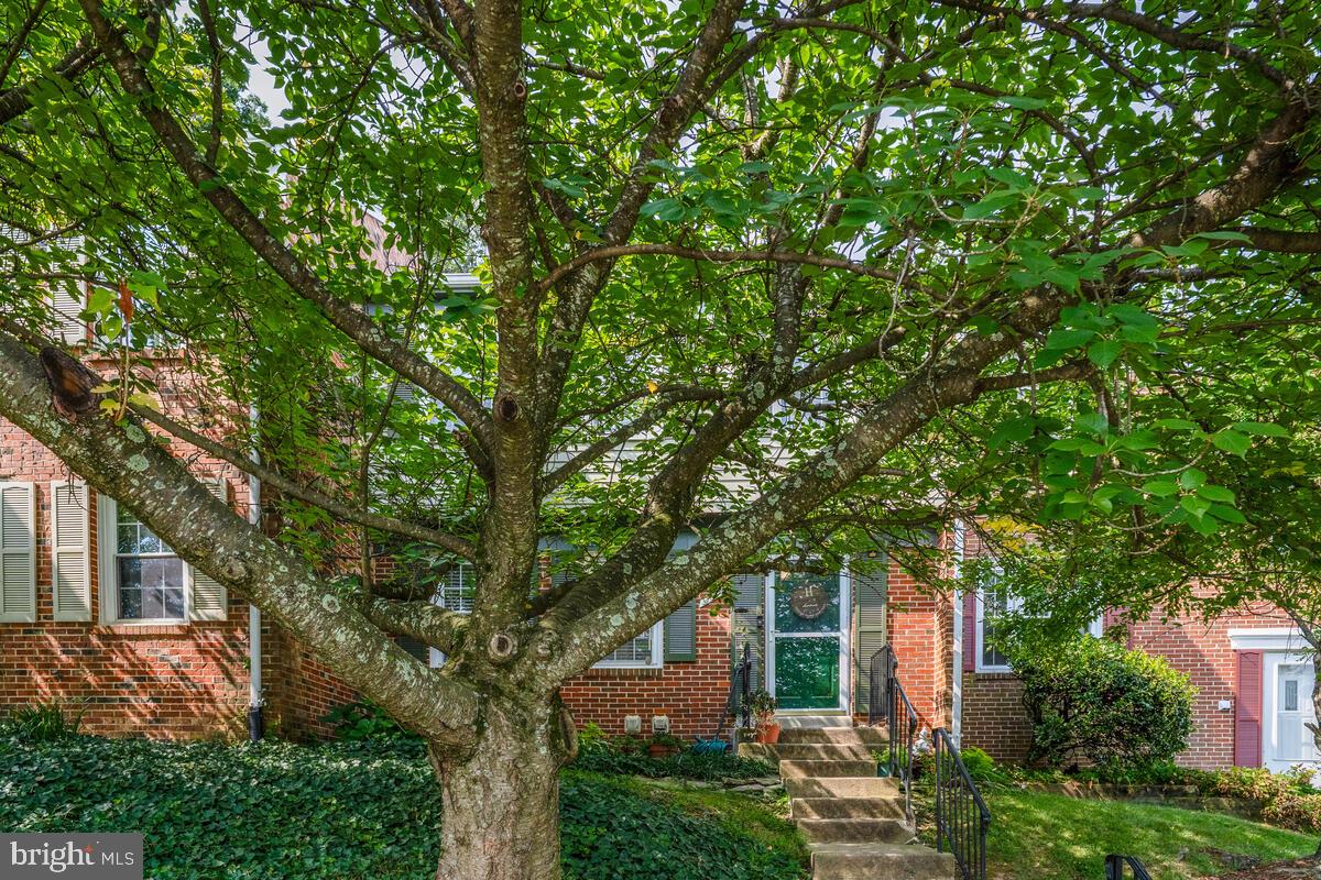 Beautifully updated and move-in ready, this 3-level townhome backs to serene woods and offers the perfect blend of privacy, comfort, and convenience. Located in a family-friendly community near Rt. 7 and Rt. 28, this home is packed with thoughtful upgrades and modern touches throughout.
The kitchen was fully remodeled in 2021 with soft-close cabinetry, quartz countertops, custom tile backsplash, stainless steel appliances, and smart storage solutions including pull-out pantry shelves, spice rack, and floating shelves. The main and upper levels feature brand-new LVP flooring (2025), while the basement and stairs boast new carpet and recessed lighting.
Upstairs, the primary suite offers a spa-like retreat, with a fully renovated bathroom (2024) featuring custom tile, an oversized shower, updated lighting, vanity, mirror, and an extended linen closet. The hallway bathroom was remodeled in 2025 with high-end finishes, and the powder room also received a stylish new vanity.
Additional features include a new HVAC system (2022) with air handler, heat pump, and whole-home air purifier, a remodeled deck (2020), and a fenced yard (two sides) that opens to peaceful wooded views. The finished basement provides ample living space, multiple storage areas, and a rough-in for a future bathroom.
Enjoy community amenities including a pool and rentable clubhouse, all covered by the monthly condo fee , which also includes water, exterior maintenance, roof, siding, and yard care.
Conveniently located near shopping, restaurants, parks, Sterling Community Center, and the W&OD Trail—this home truly has it all!