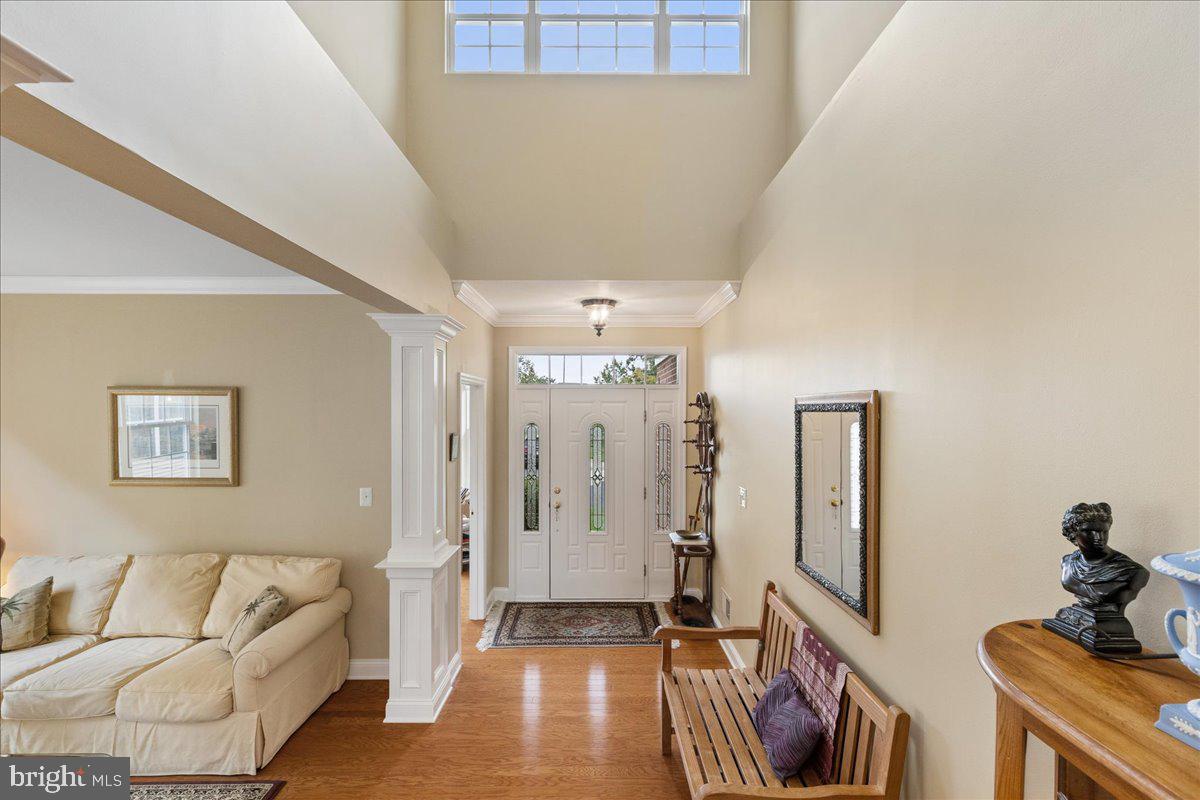 43 NORTON AVENUE