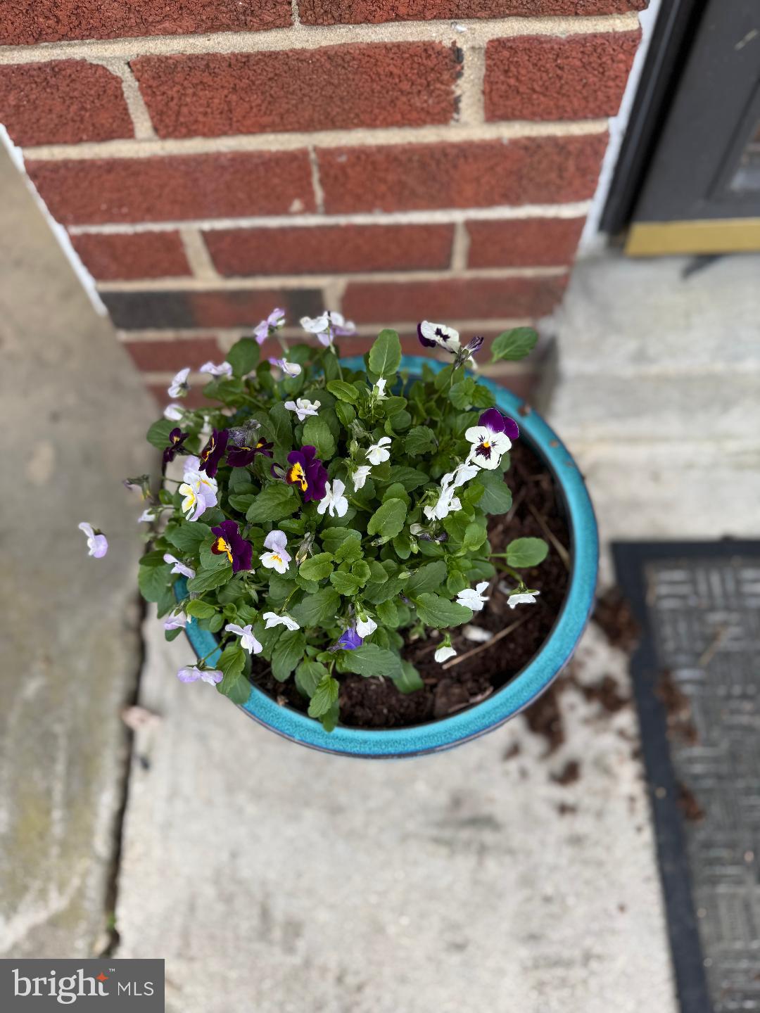 NORRIS PYLES - Residential