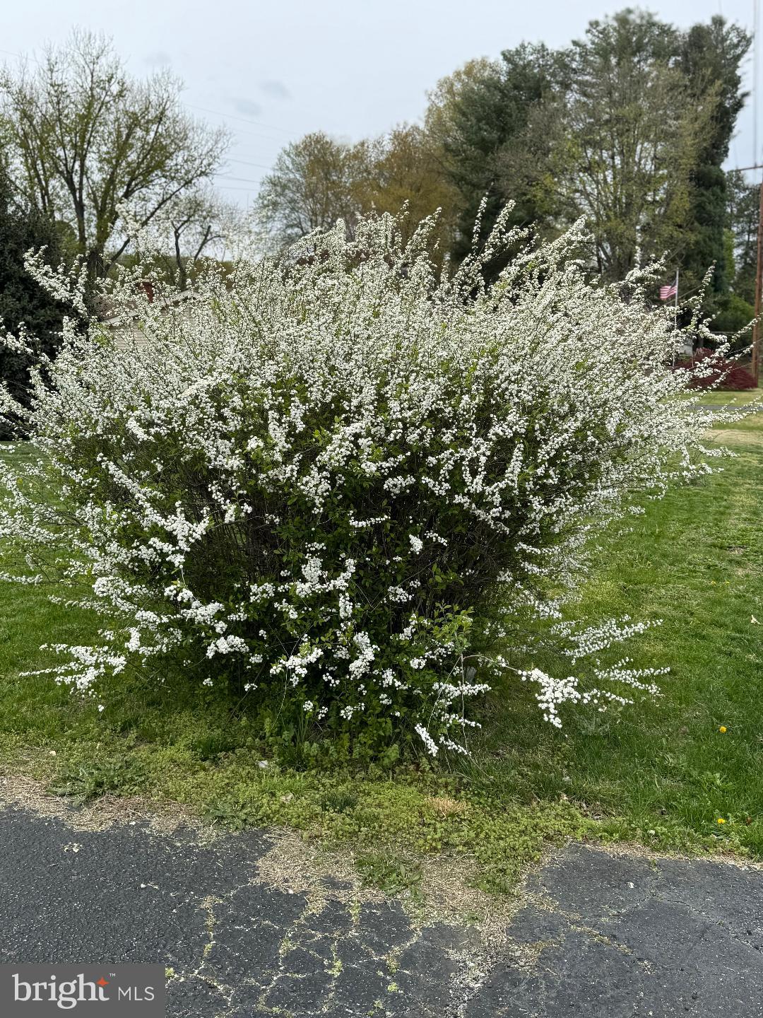 NORRIS PYLES - Residential