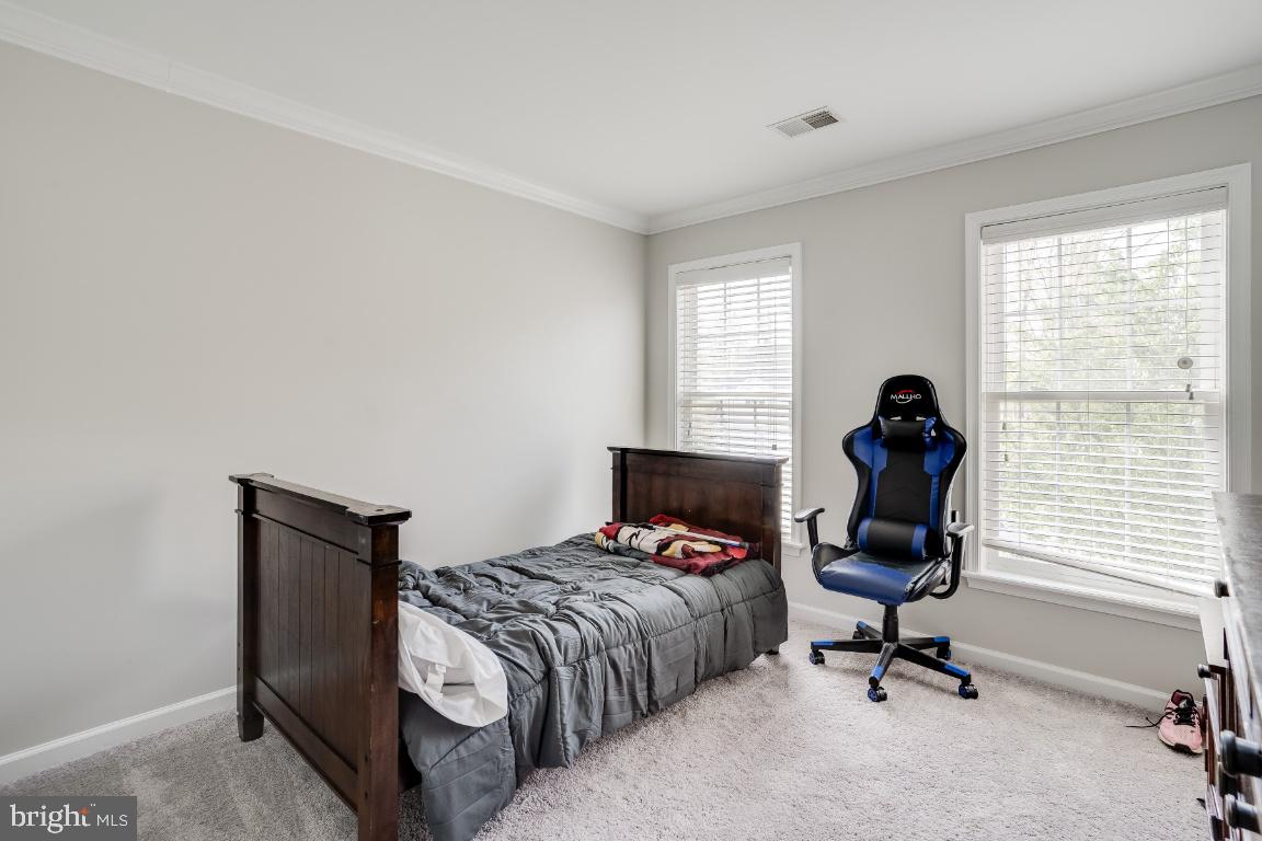 CHELTENHAM WOODS - Residential