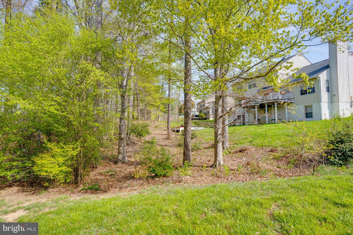 CHELTENHAM WOODS - Residential