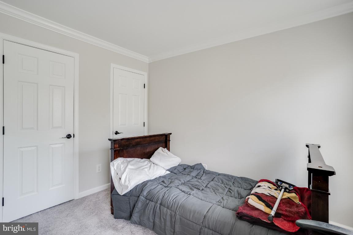 CHELTENHAM WOODS - Residential