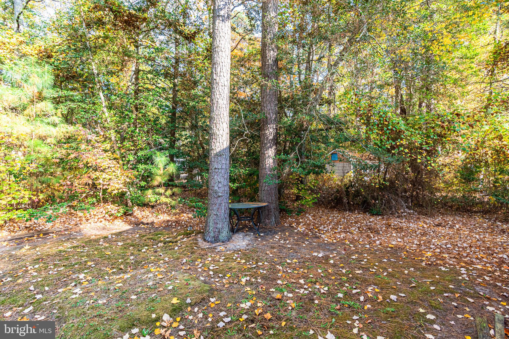 OCEAN PINES - HUNTINGTON - Residential