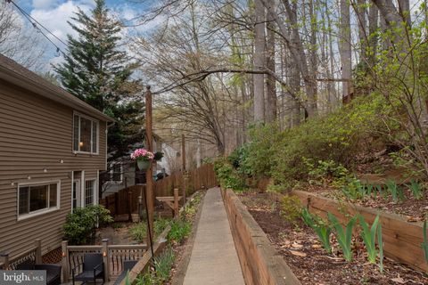 listing image 85
