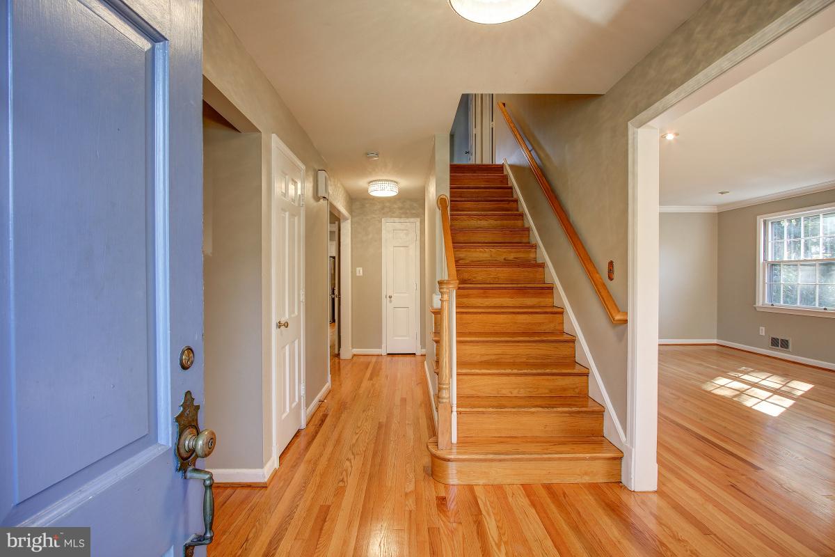 BRADLEY HILLS - Residential Lease