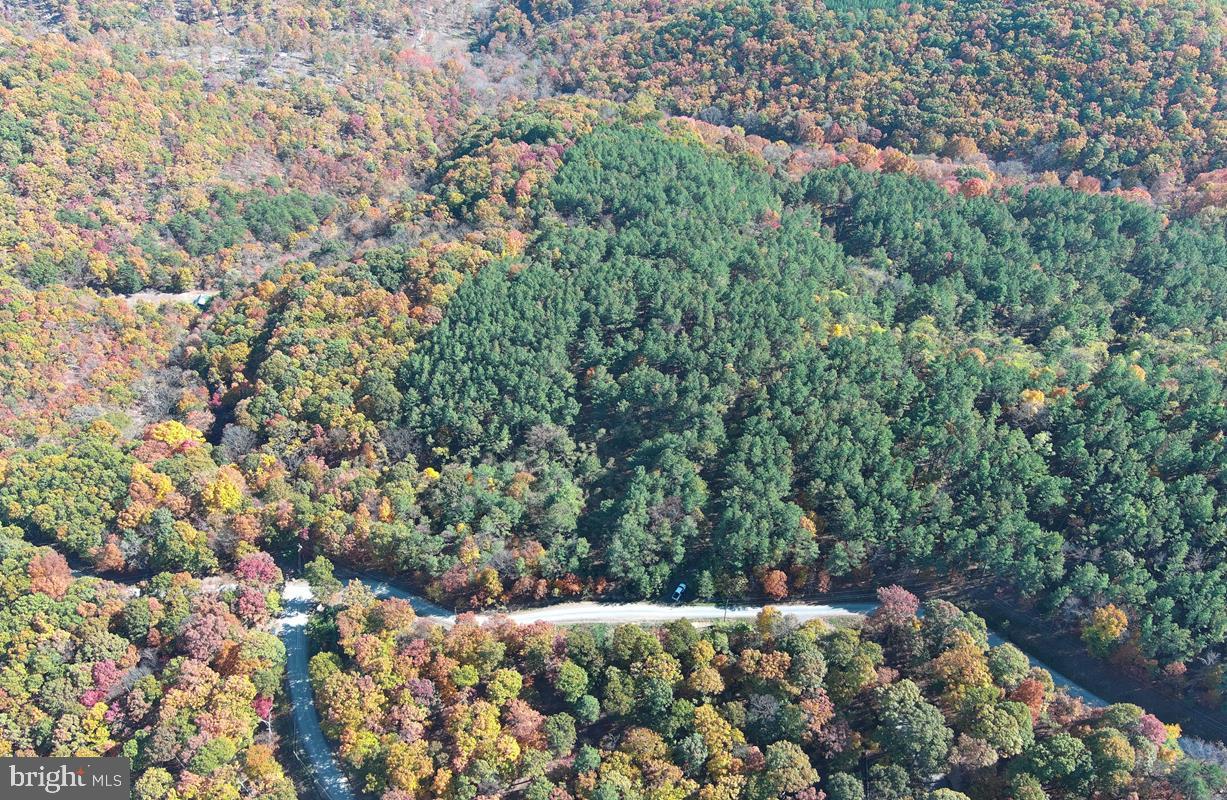 BLUFFS ON THE POTOMAC - Land