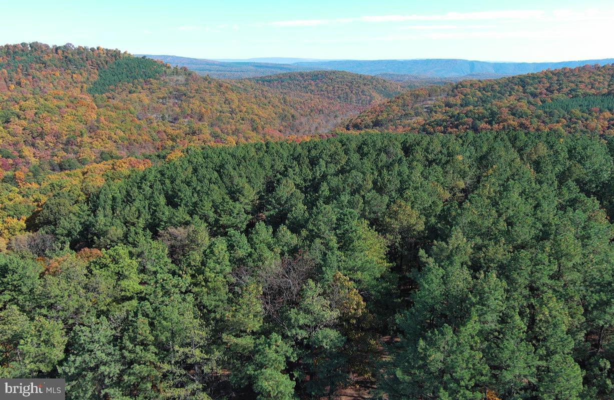BLUFFS ON THE POTOMAC - Land