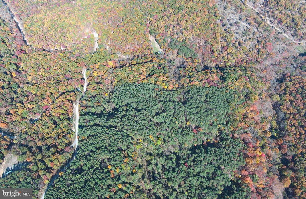 BLUFFS ON THE POTOMAC - Land