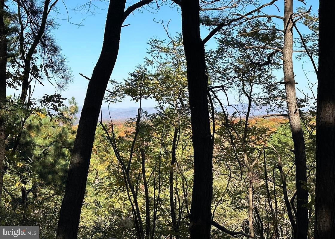 BLUFFS ON THE POTOMAC - Land