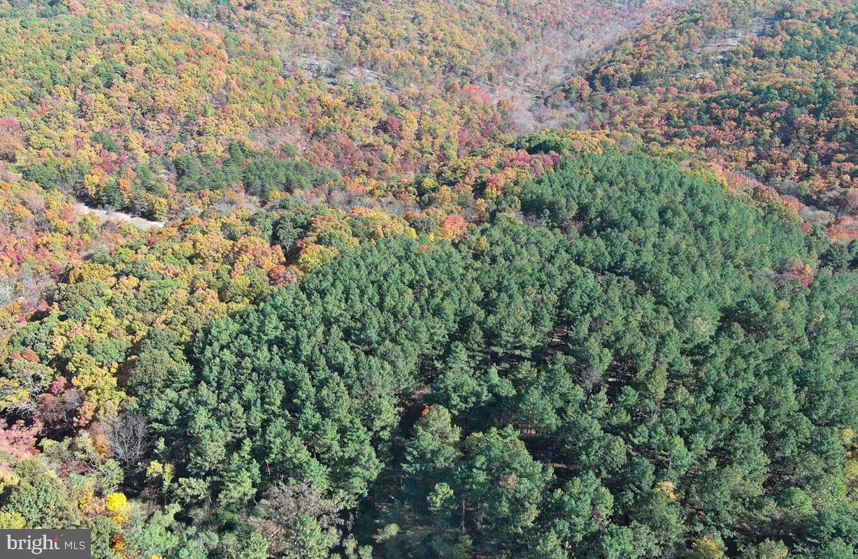 BLUFFS ON THE POTOMAC - Land