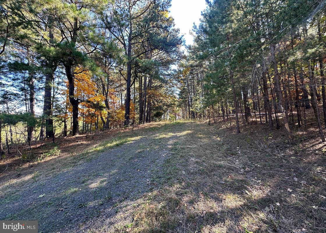 BLUFFS ON THE POTOMAC - Land