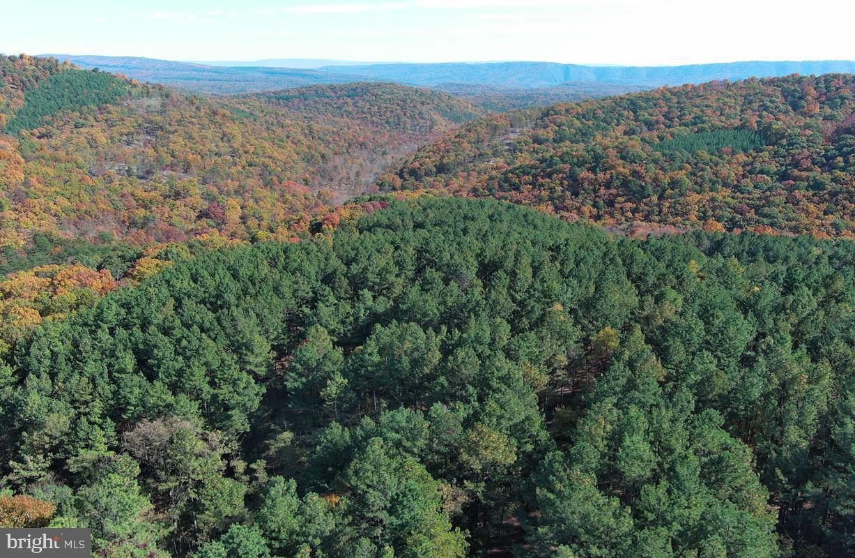 BLUFFS ON THE POTOMAC - Land