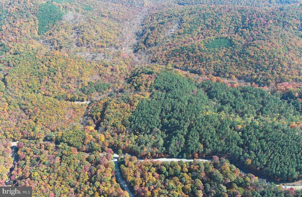 BLUFFS ON THE POTOMAC - Land