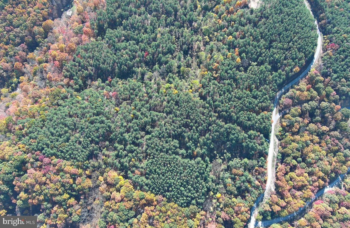 BLUFFS ON THE POTOMAC - Land