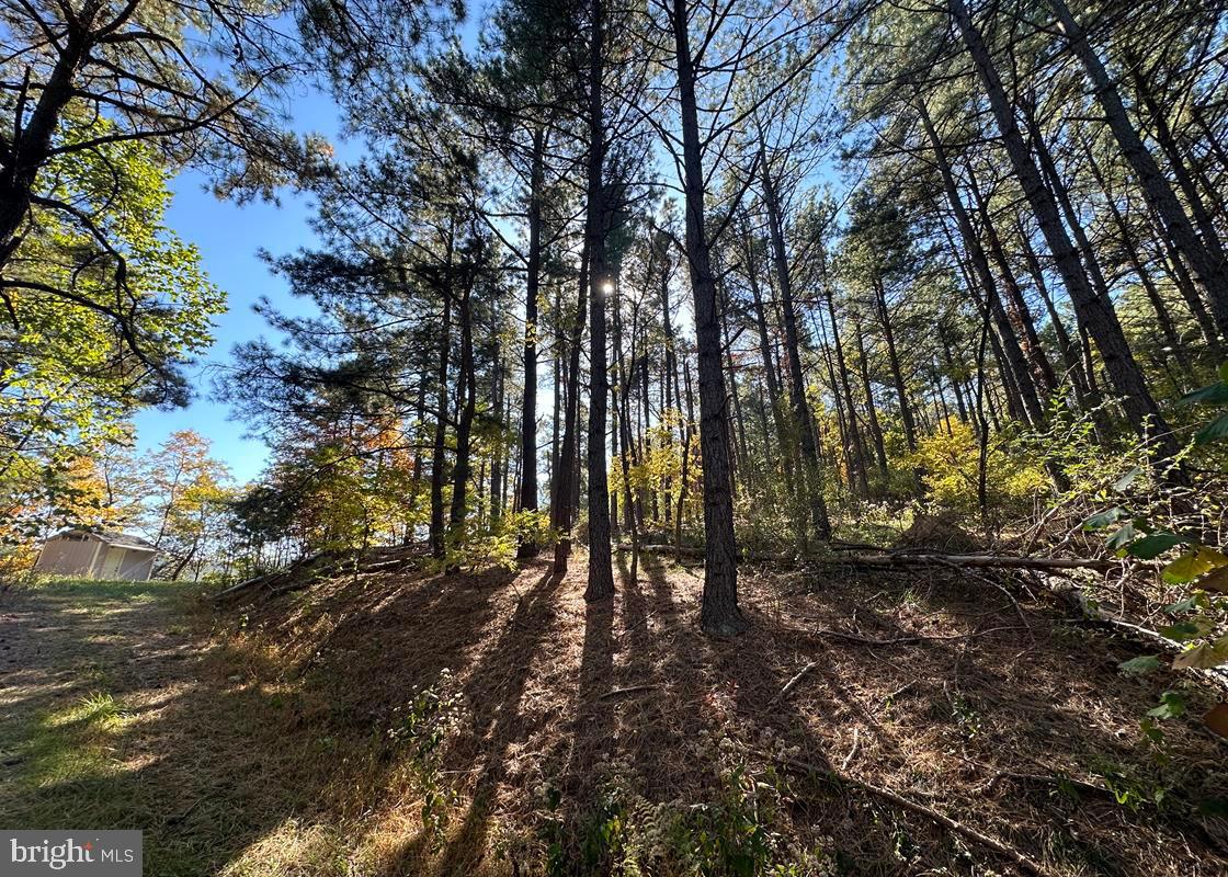 BLUFFS ON THE POTOMAC - Land