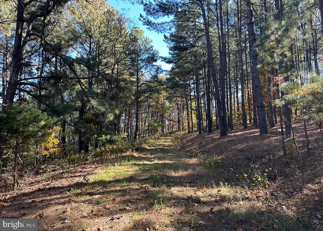 BLUFFS ON THE POTOMAC - Land