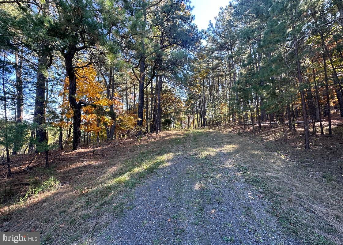 BLUFFS ON THE POTOMAC - Land