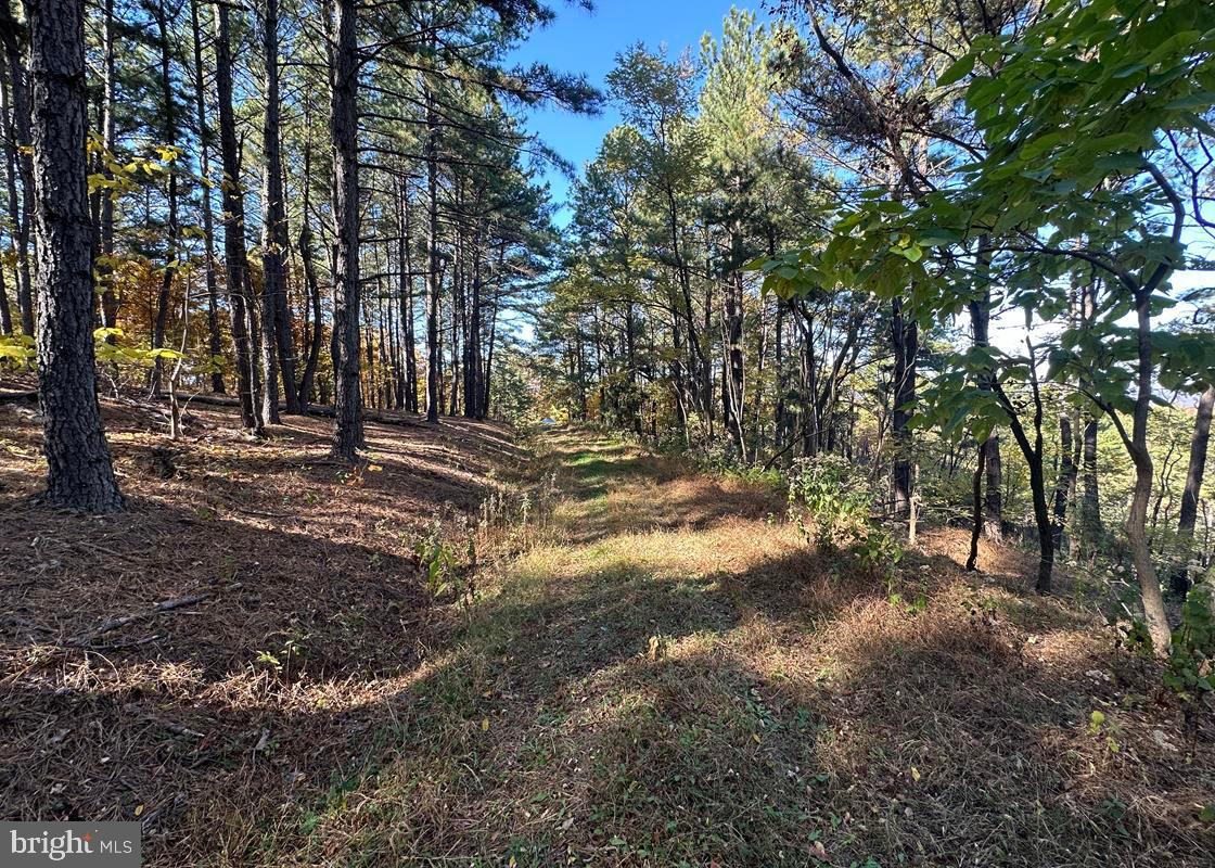 BLUFFS ON THE POTOMAC - Land