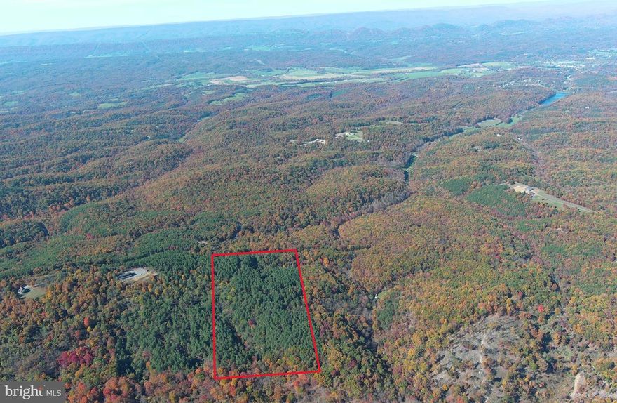 MASSIVE VIEWS + USABLE LAND = PARADISE.....20 ACRES OF PRISTINE WOODLAND COVERED IN TOWERING LOBLOLLY PINES OFFERING LONG RANGE LAYERED VIEWS TO THE NORTH......400 FT LONG DRIVEWAY AND SHED ALREADY IN PLACE, SO YOU'RE ALREADY 10K AHEAD OF THE GAME ON INFRASTRUCTURE COSTS....POWER & PERKED.....GET THAT MIDDLE OF NOWHERE FEELING ONLY 1 MILE OFF THE PAVED ROAD AND ONLY 10 MINUTES FROM PROVISIONS IN THE THRIVING VILLAGE OF FORT ASHBY.....LESS THAN 5 MINUTES FROM STOCKED TROUT LAKE! VERY USABLE LAND WITH 3 GENTLE RIDGELINES. LOCATED IN THE PRESTIGIOUS GATED COMMUNITY OF "THE BLUFFS ON THE POTOMAC".....THE BLUFFS IS KNOWN FOR IT'S ABUNDANCE OF BIG BUCKS, BEAR & TURKEY. AS AN ADDED BONUS, THE COMMUNITY HAS IT'S OWN PRIVATE COMMON AREA ON THE SOUTH BRANCH OF THE POTOMAC RIVER FOR CANOE, KAYAK, TUBES, FISH & SWIM......A PRIVATE PARK ON THE RIVER FOR YOUR SUMMERTIME ENJOYMENT. THIS LOT IS A JACK OF ALL TRADES; CAMP, HUNT, SHOOT, ATV'S OR BUILD YOUR TROPHY HOME OR CABIN FOR FULL TIME LIVING OR WEEKEND USE....THIS WILL BE THE EASIEST DECISION YOU'VE HAD IN YEARS.....IF YOU DON'T BUY THIS ONE...QUIT LOOKING!