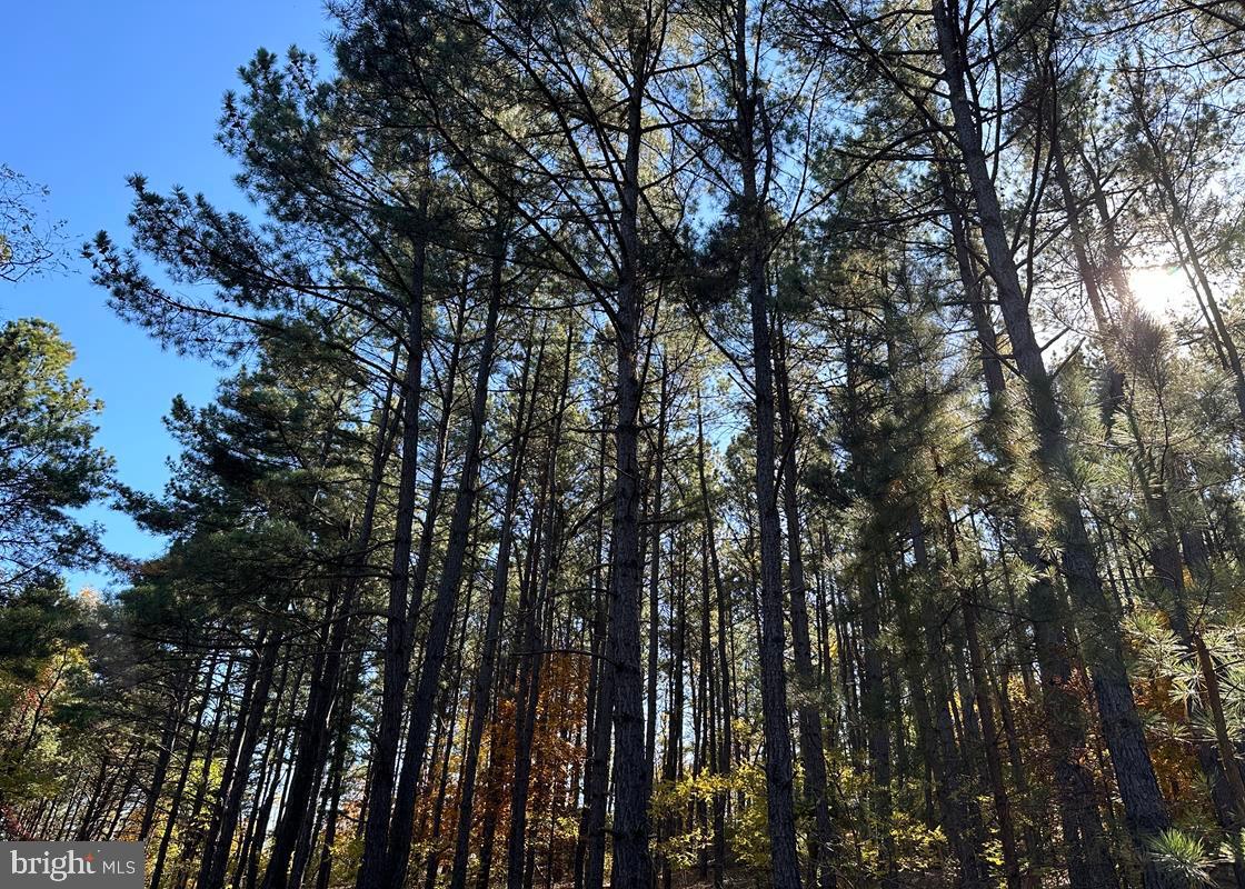 BLUFFS ON THE POTOMAC - Land