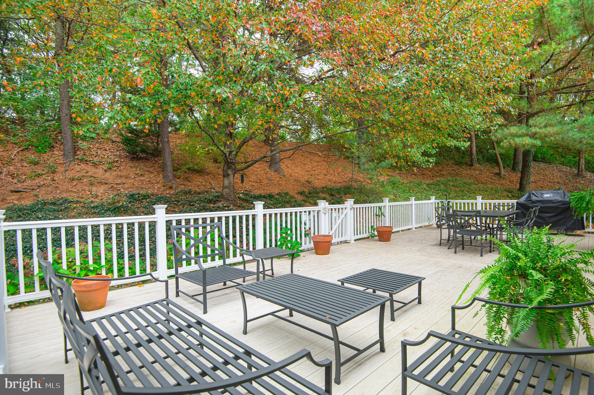 BOXWOOD - Residential