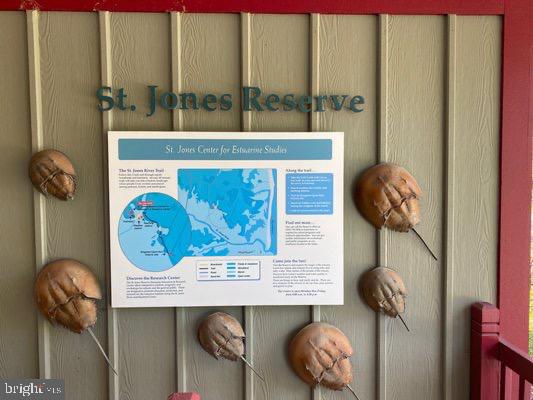 KITTS HUMMOCK - Residential